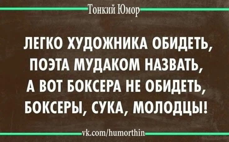 ЛЕГКО ХУДОЖНИКА ОБИДЕТЬ, ПОЭТА МУДАКОМ НАЗВАТЬ, А ВОТ БОКСЕРА НЕ ОБИДЕТЬ, БОКСЕРЫ, СУКА, МОЛОДЦЫ!