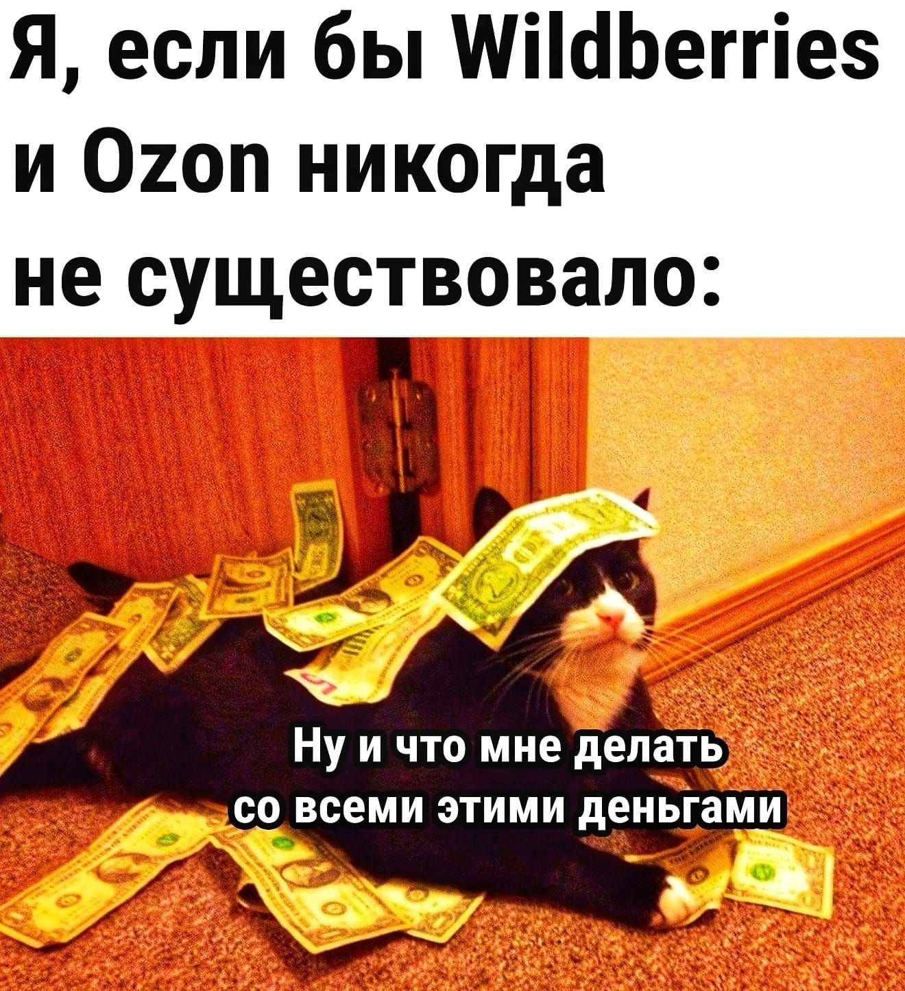 Я, если бы Wildberries и Ozon никогда не существовало:
Ну и что мне делать со всеми этими деньгами