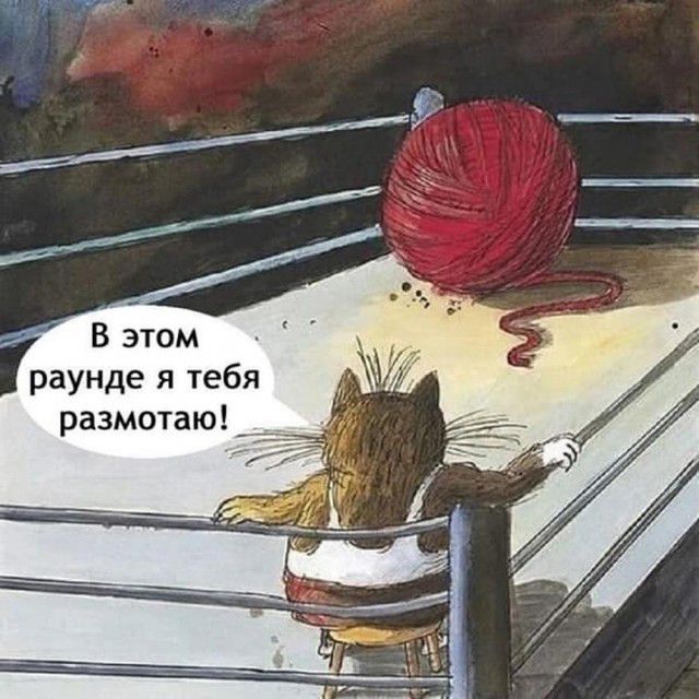 В этом раунде я тебя размотаю!