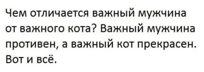 Чем отличается важный мужчина от важного кота? Важный мужчина противен, а важный кот прекрасен. Вот и всё.
