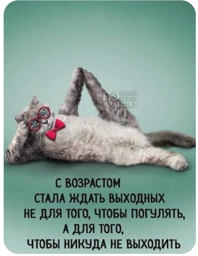 С возрастом стала ждать выходных не для того, чтобы погулять, а для того, чтобы никуда не выходить.