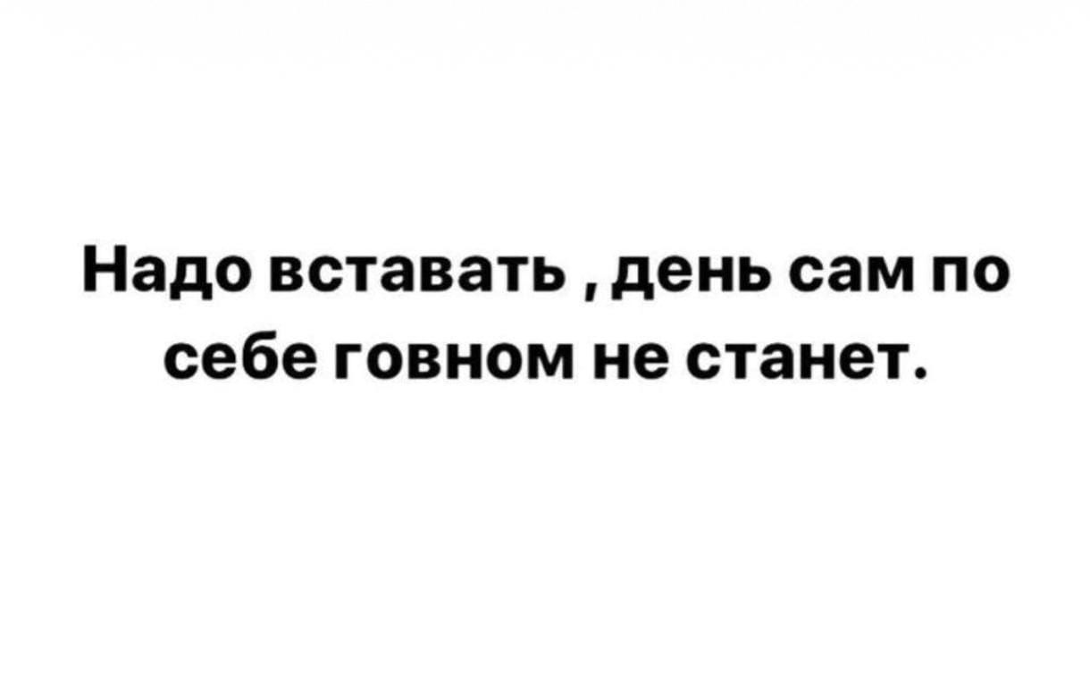 Надо вставать, день сам по себе говном не станет.