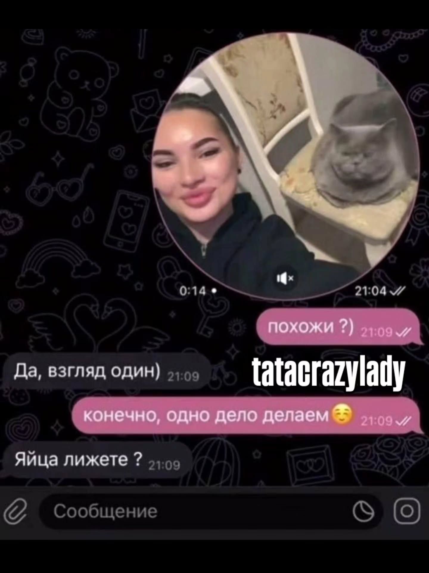 похожи ?) Да, взгляд один) конечно, одно дело делаем😏 Яйца лежите ?