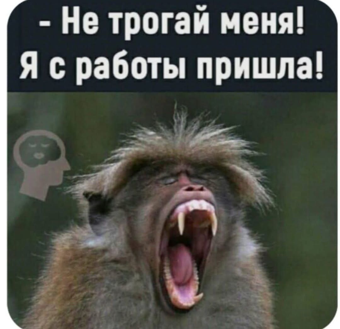 Не трогай меня! Я с работы пришла!