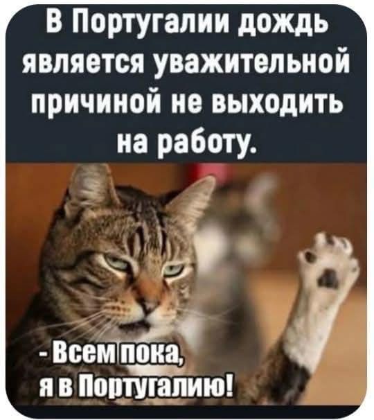 В Португалии дождь является уважительной причиной не выходить на работу.
- Всем пока, я в Португалии!