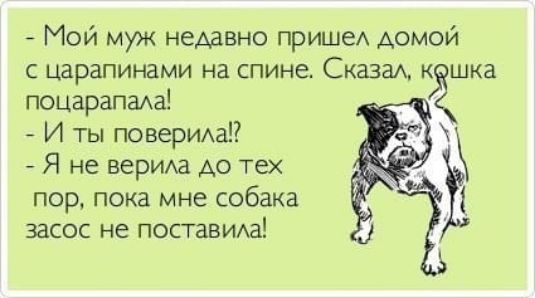 - Мой муж недавно пришел домой с царапинами на спине. Сказал, кошка поцарапала!
- И ты поверила?!
- Я не верила до тех пор, пока мне собака засос не поставила!