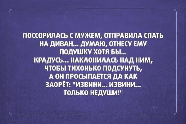 ПОССОРИЛАСЬ С МУЖЕМ, ОТПРАВИЛА СПАТЬ НА ДИВАН... ДУМАЮ, ОТНЕСУ ЕМУ ПОДУШКУ ХОТЯ БЫ... КРАДУСЬ... НАКЛОНИЛАСЬ НАД НИМ, ЧТОБЫ ТИХОНЬКО ПОДСНУТЬ, А ОН ПРОСЫПАЕТСЯ ДА КАК ЗАОРЁТЬ: 