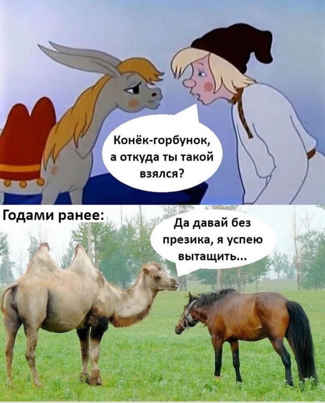 Конёк-горбунок, а откуда ты такой взялся?
Годами ранее:
Да давай без презика, я успею вытащить...