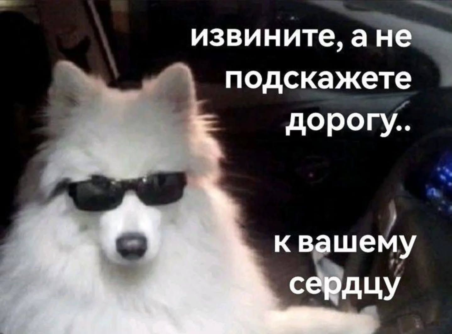 ИЗВИНИТЕ, а не подскажете дорогу.. к вашему сердцу