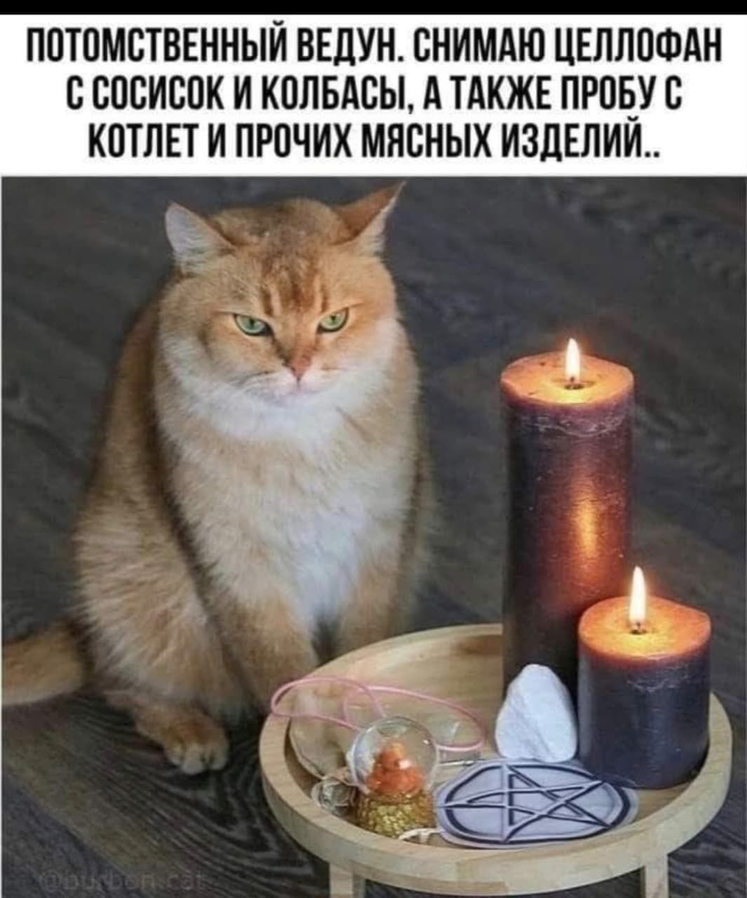 ПОТОМСТВЕННЫЙ ВЕДУН. СНИМАЮ ЦЕЛЛОФАН С СОСИСОК И КОЛБАСЫ, А ТАКЖЕ ПРОБУ С КОТЛЕТ И ПРОЧИХ МЯСНЫХ ИЗДЕЛИЙ..