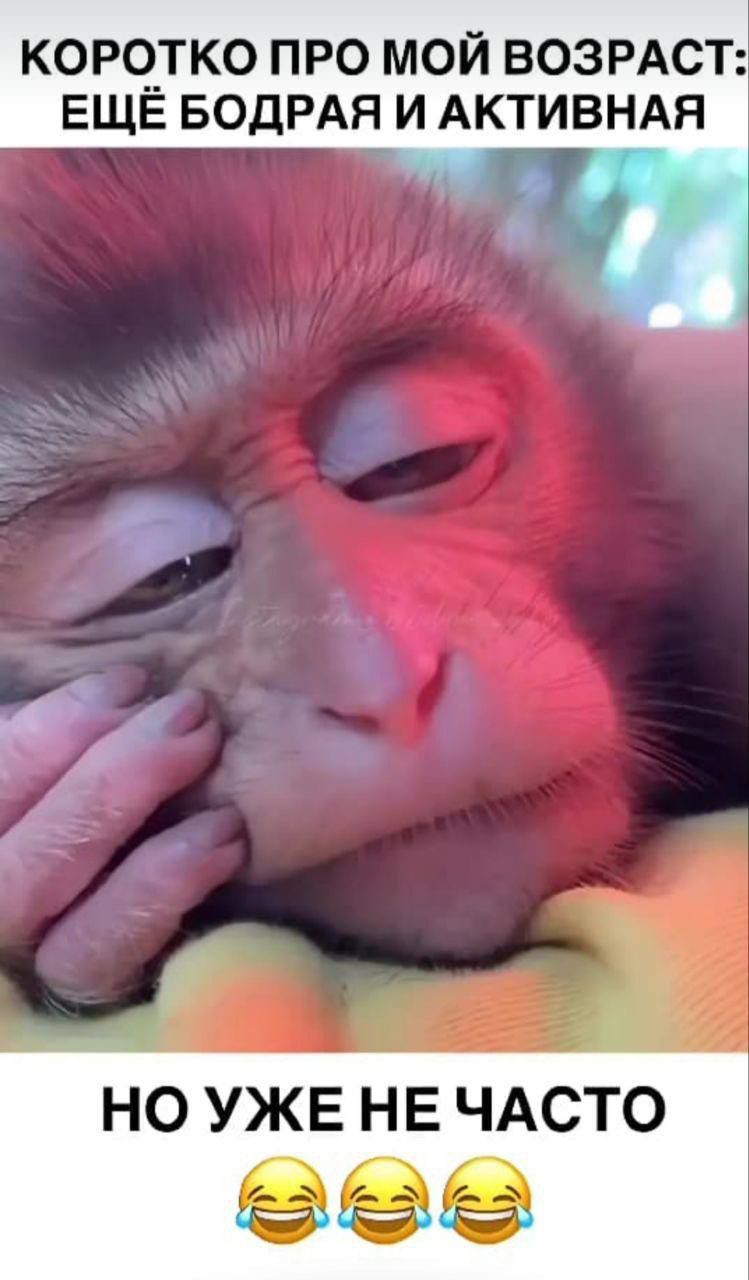КОРОТО ПРО МОЙ ВОЗРАСТ: ЕЩЁ БОДРАЯ И АКТИВНАЯ
НО УЖЕ НЕ ЧАСТО 😂😂😂