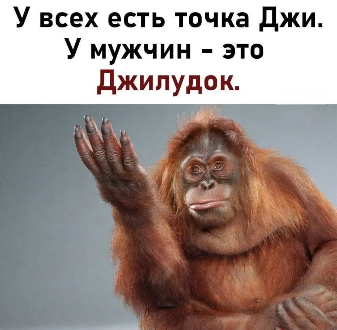 У всех есть точка Джи. У мужчин - это Джилудок.