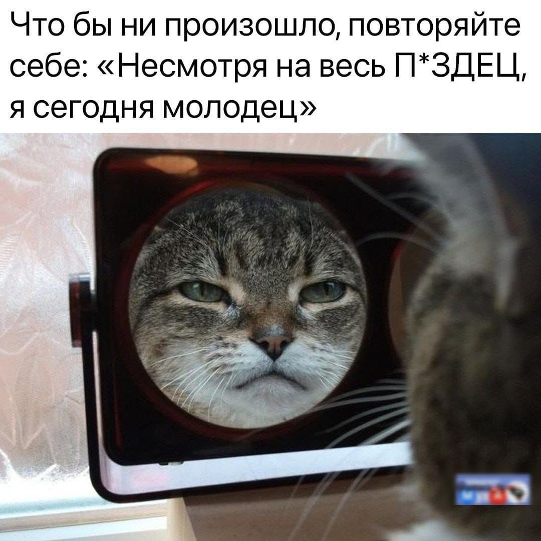 Что бы ни произошло, повторяйте себе: «Несмотря на весь П*ЗДЕЦ, я сегодня молодец»