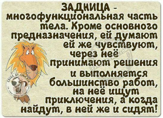 Задница - многофункциональная часть тела. Кроме основного предназначения, ей думают, ей же чувствуют, через неё принимают решения и выполняется большинство работ, на неё ищут приключения, а когда найдут, в ней же и сидят!