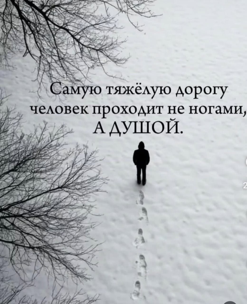 Самую тяжёлую дорогу человек проходит не ногами, А душой.