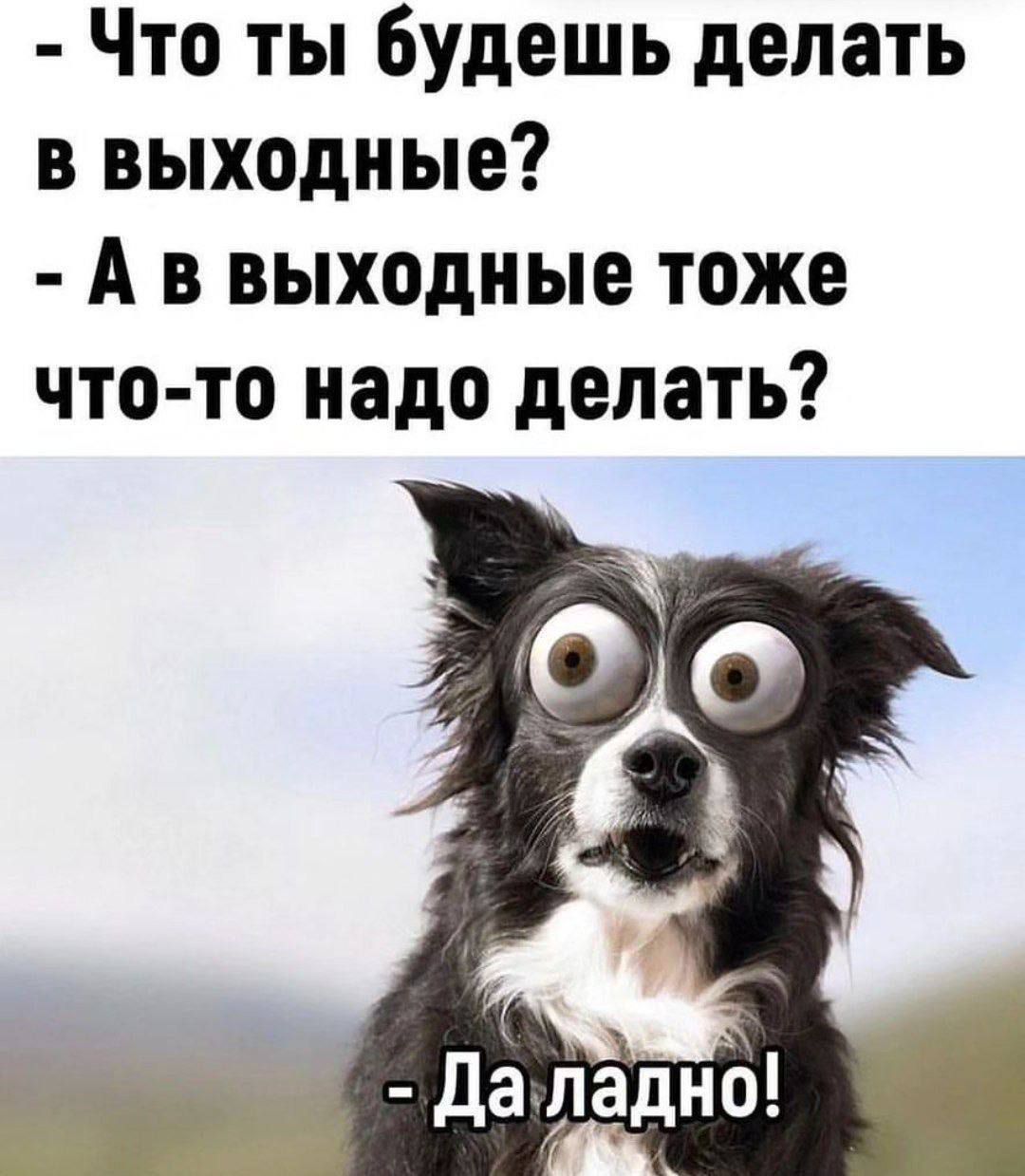 - Что ты будешь делать в выходные? - А в выходные тоже что-то надо делать? - Да ладно!