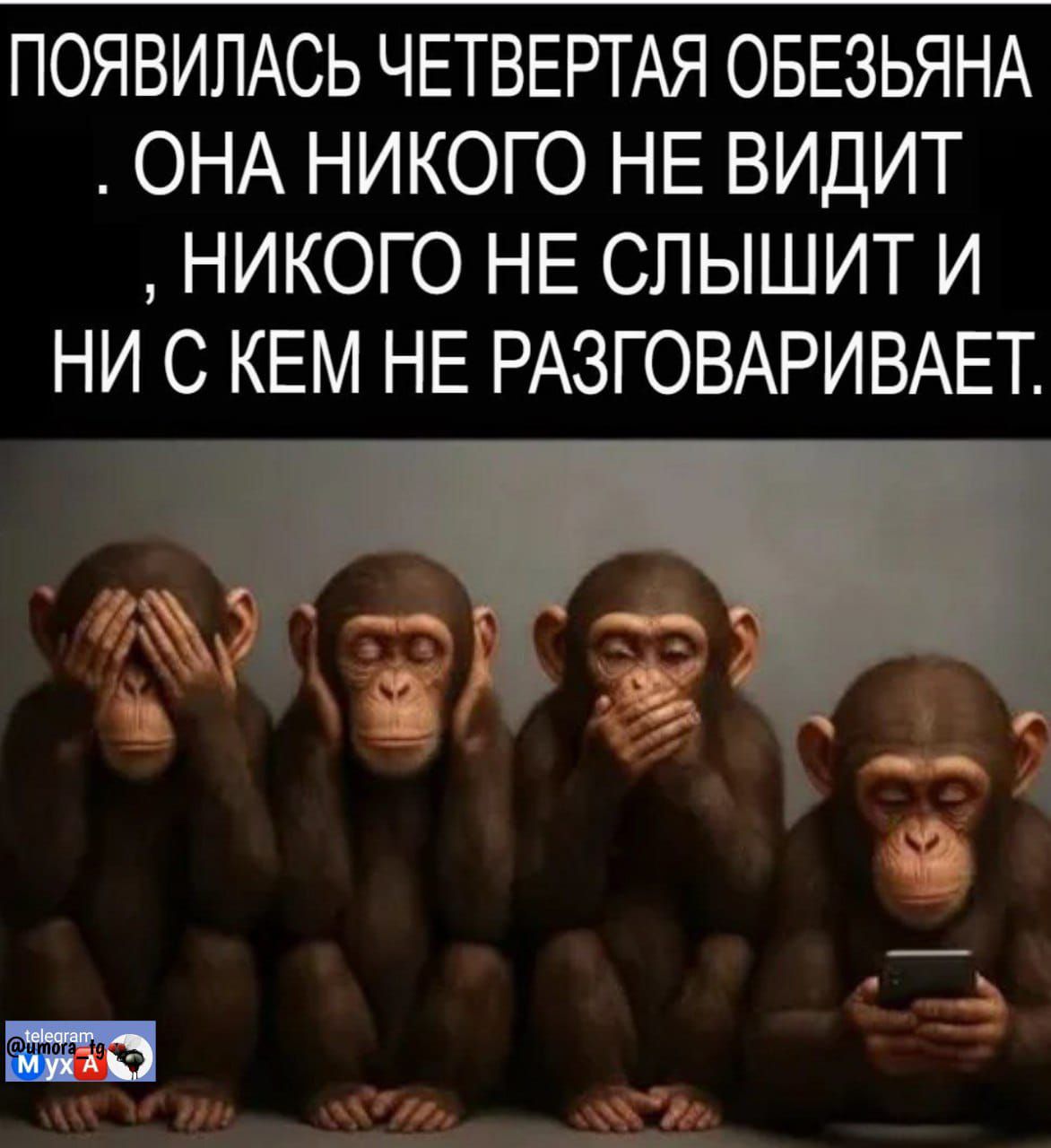 ПОЯВИЛАСЬ ЧЕТВЕРТАЯ ОБЕЗЬЯНА . ОНА НИКОГО НЕ ВИДИТ , НИКОГО НЕ СЛЫШИТ И НИ С КЕМ НЕ РАЗГОВАРИВАЕТ.