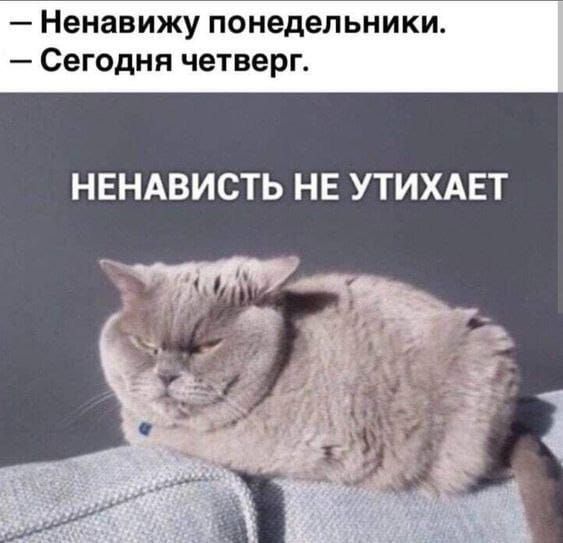 — Ненавижу понедельники. — Сегодня четверг. НЕНАВИСТЬ НЕ УТИХАЕТ