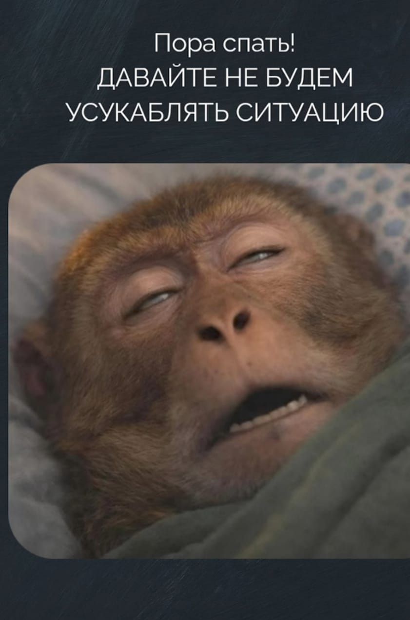 Пора спать! ДАВАЙТЕ НЕ БУДЕМ УСУКАБЛЯТЬ СИТУАЦИЮ