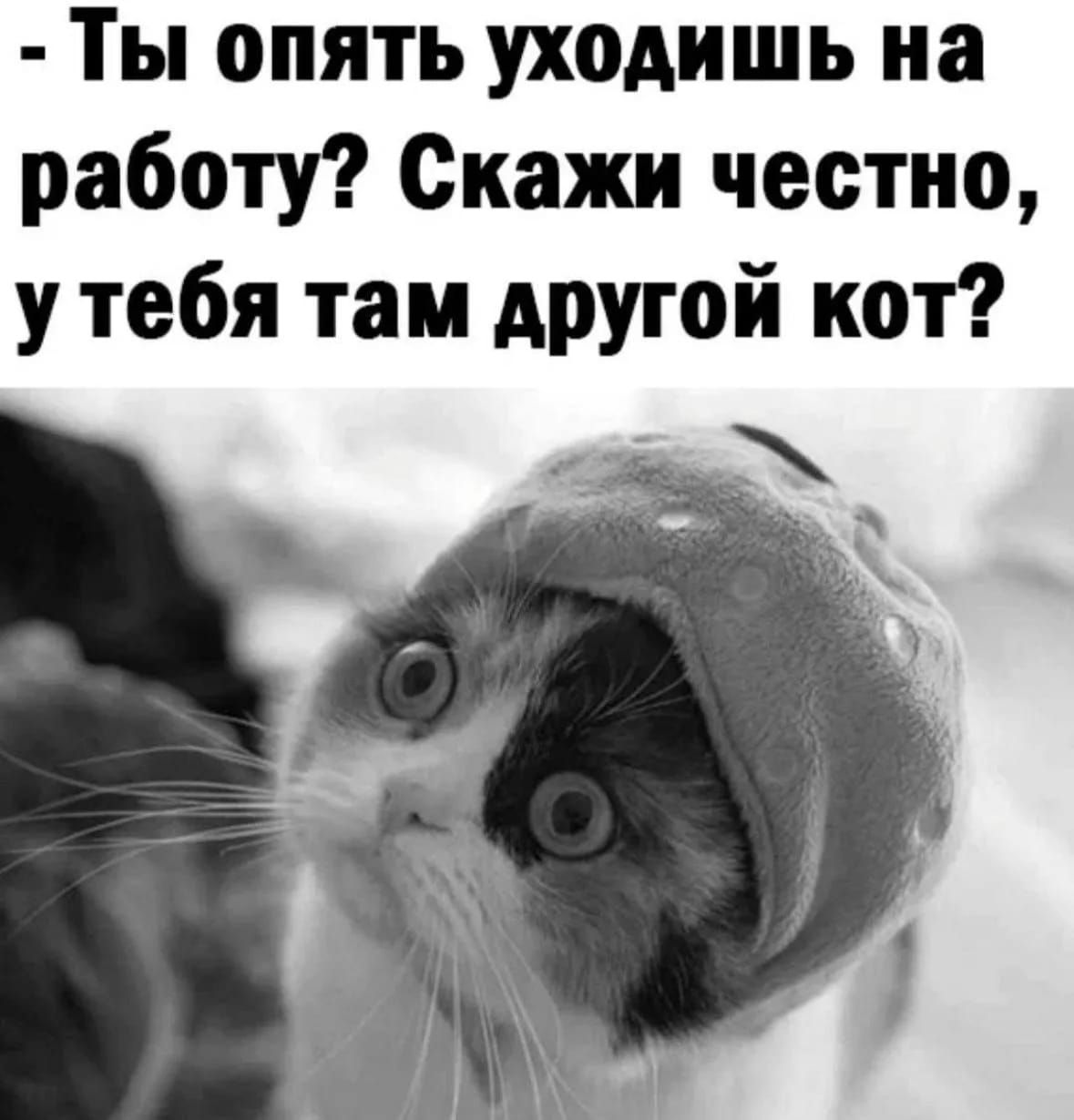 - Ты опять уходишь на работу? Скажи честно, у тебя там другая кот?