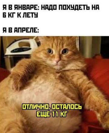 Я в январе: надо похудеть на 6 кг к лету
Я в апреле:
Отлично, осталось ещё 11 кг