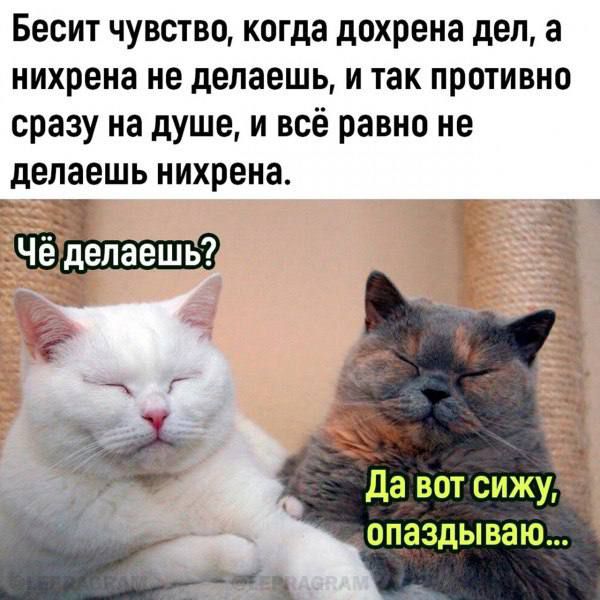 Бесит чувство, когда дохрена дел, а нихрена не делаешь, и так противно на душе, и всё равно не делаешь нихрена. Чё делаешь? Да вот сижу, опаздываю...