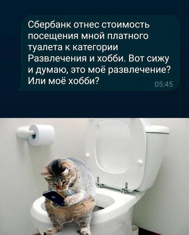 Сбербанк отнес стоимость посещения мной платного туалета к категории Развлечения и хобби. Вот сижу и думаю, это моё развлечение? Или моё хобби?