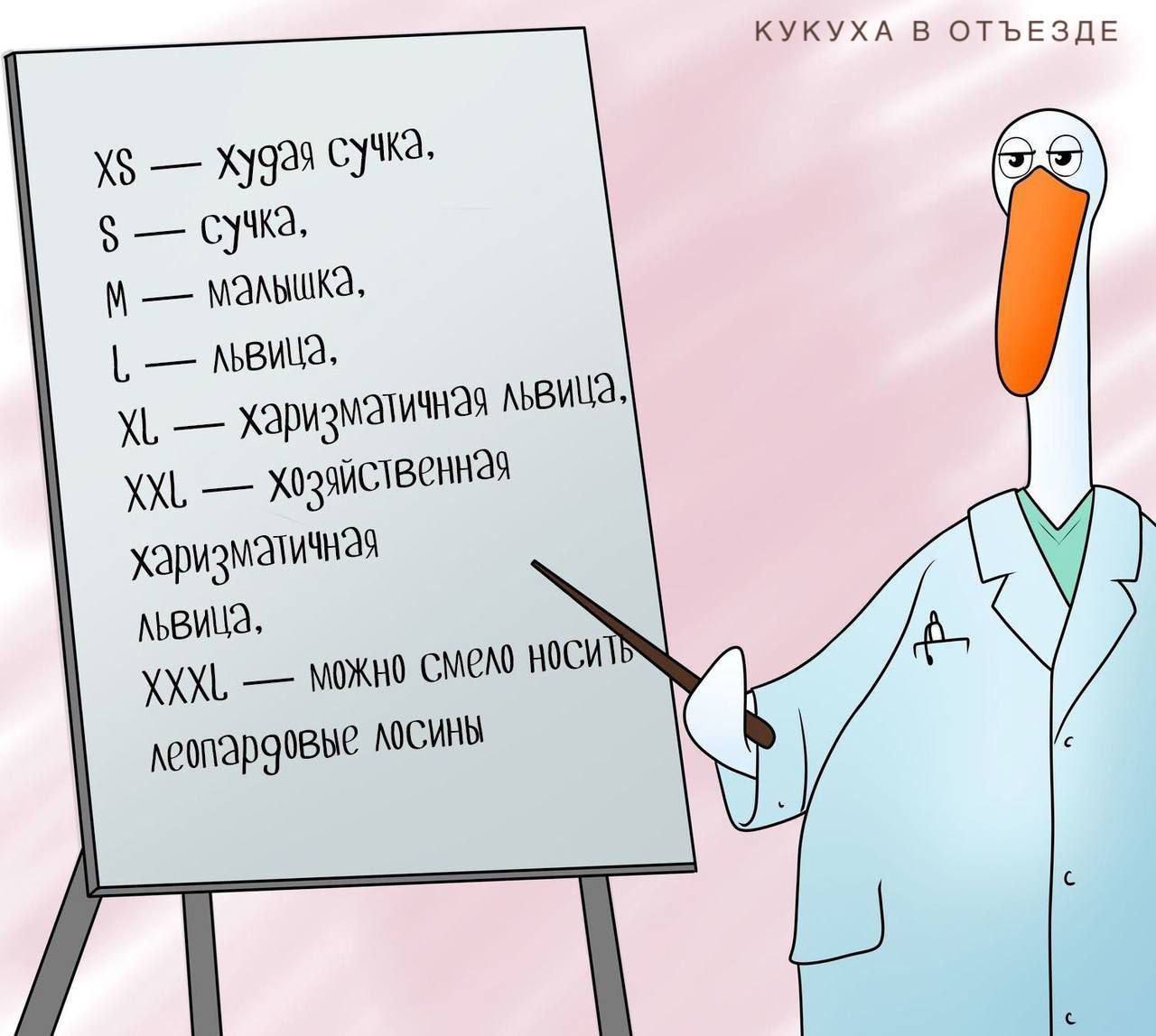 XS — Худaя сучка. S — сучка. M — малышка. L — львица. XL — харизматичная львица. XXL — хозяйственная харизматичная львица, XXXL — можно смело носить леопардовые лосины