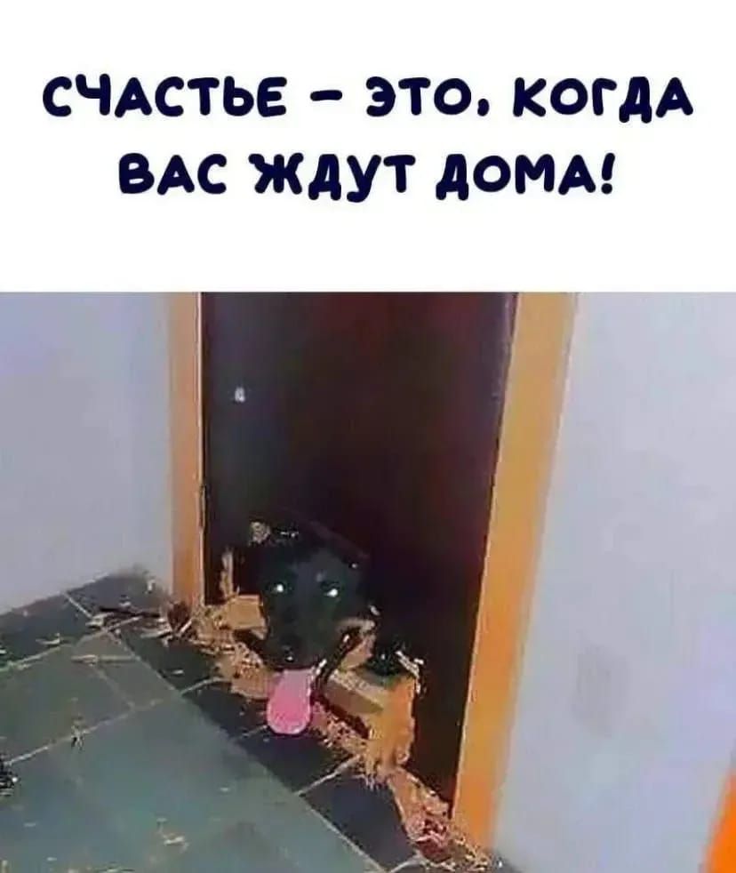 Счастье – это, когда вас ждут дома!
