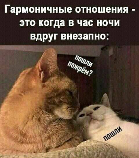Гармоничные отношения - это когда в час ночи вдруг внезапно:
пошли
пошли похрём?