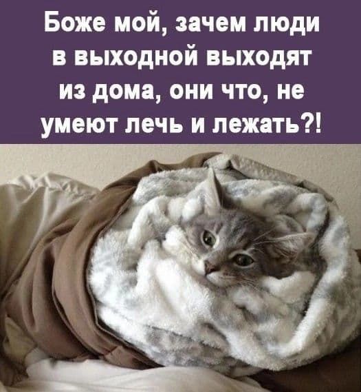 Боже мой, зачем люди в выходной выходят из дома, они что, не умеют печь и лежать?!