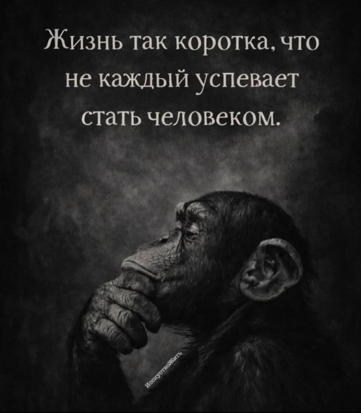 Жизнь так коротка, что не каждый успевает стать человеком.