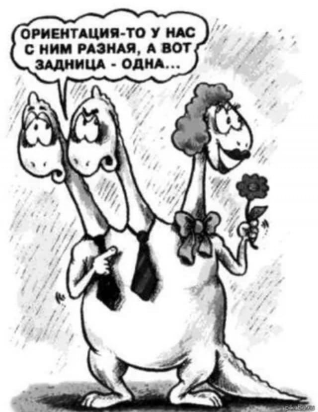 ОРИЕНТАЦИЯ-ТО У НАС С НИМ РАЗНАЯ, А ВОТ ЗАДНИЦА - ОДНА...