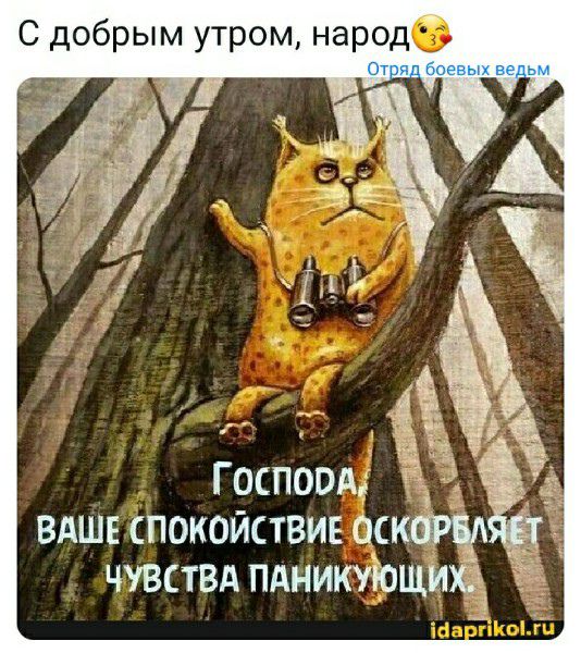 С добрым утром народе вдшв спокойствие оск чувствд пдникуіощшга3 ГОСПОВддё