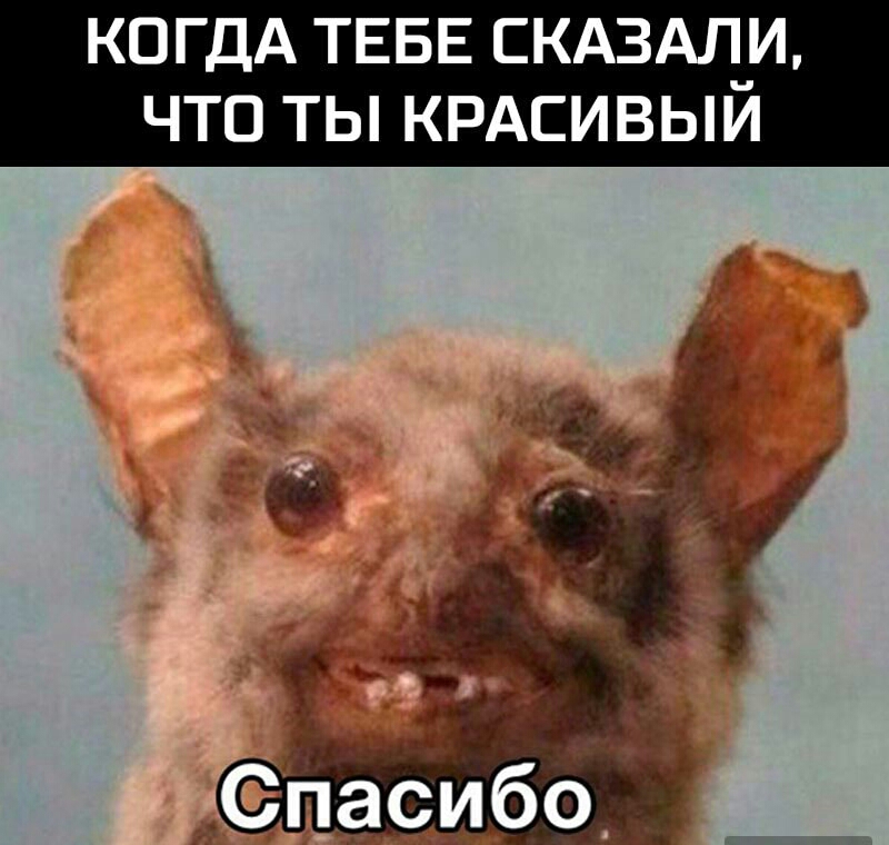 КОГДА ТЕБЕ СКАЗАЛ_И ЧТО ТЫ КРАСИВЫИ
