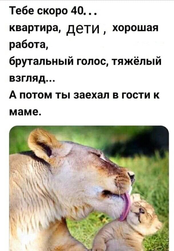Тебе скоро 40 квартира дети хорошая работа брутальный голос тяжёлый взгляд А ПОТОМ ТЫ заехал В ГОСТИ К маме