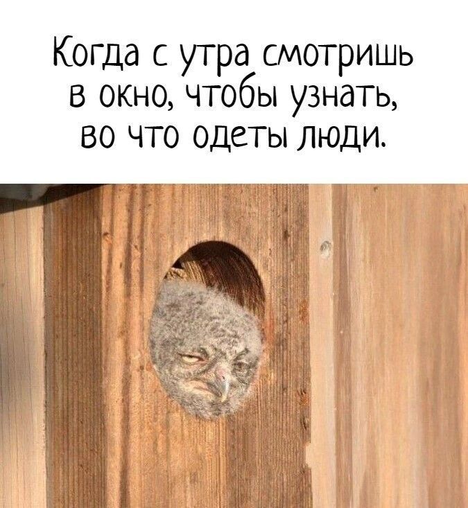 Когда с утра смотришь в окно чтобы узнать во что одеты люди