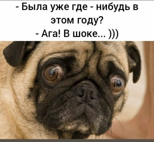 Была уже где нибудь в этом году Ага В шоке