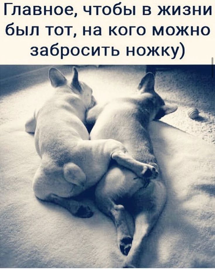 Главное чтобы в жизни был тот на кого можно забросить ножку