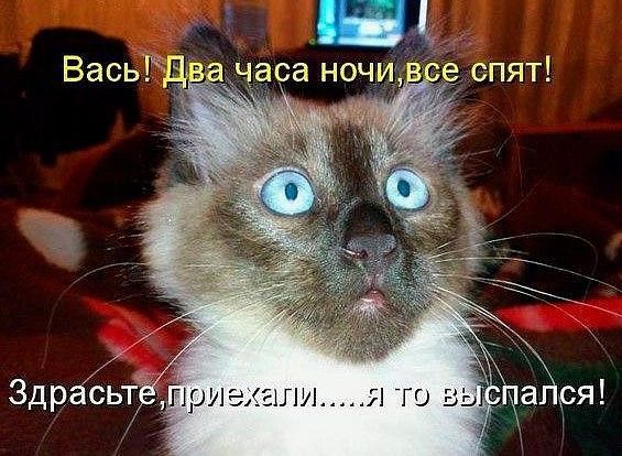 Здрасьте д