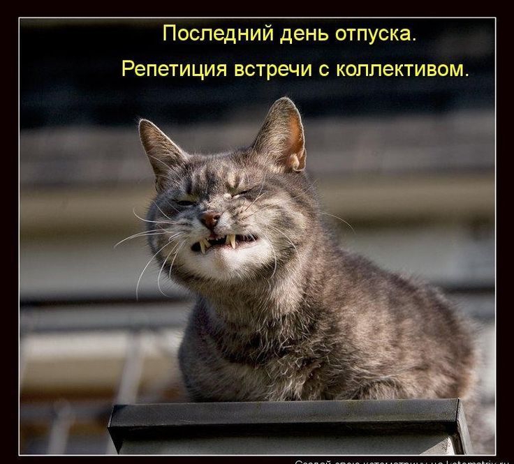 Последний день отпуска Репетиция встречи С КОППЭКТИВОМ Создай свою ктоматриш на Коюгпасгіх