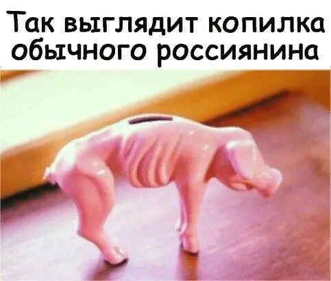 ТОК ВЫГЛЯДИТ КОПИЛКО обычного россиянина __