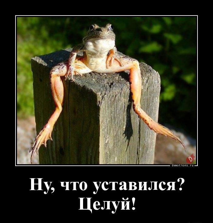 Ну что уставился Целуй