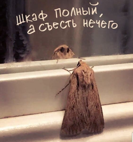 шкаф ПОЬИ аоЪССГъ НЭЧЭГО ___