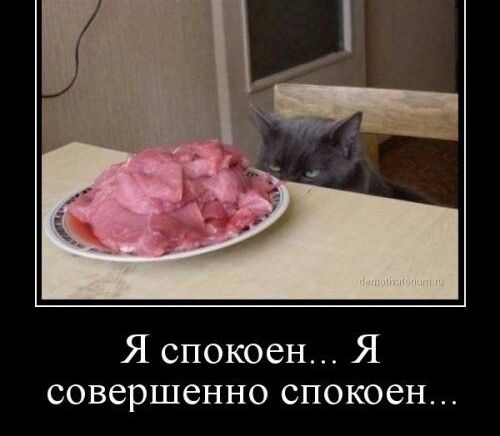 Я спокоен Я совершенно спокоен
