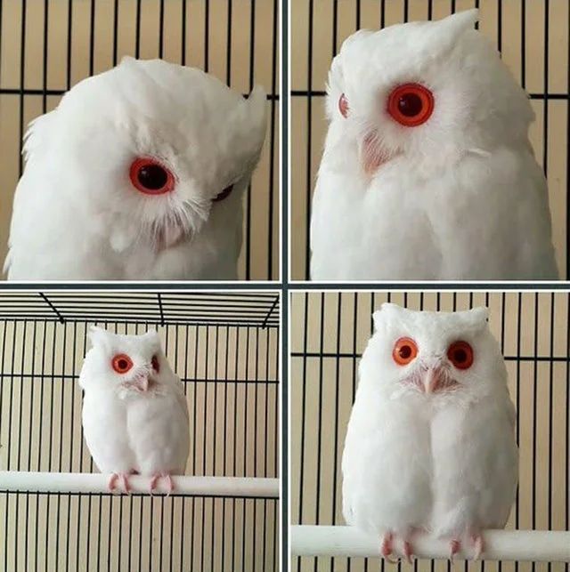 і 9 м И