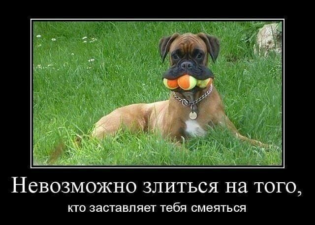НЕВОЗМОЖНО ЗПИТЬСЯ на ТОГО кю заставляет тебя маяться