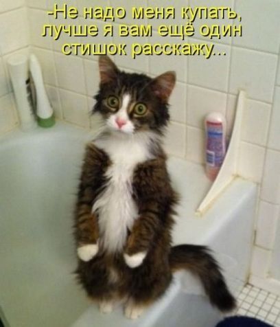 Не надо меня купать лучше я вам еще один глин он расскажу