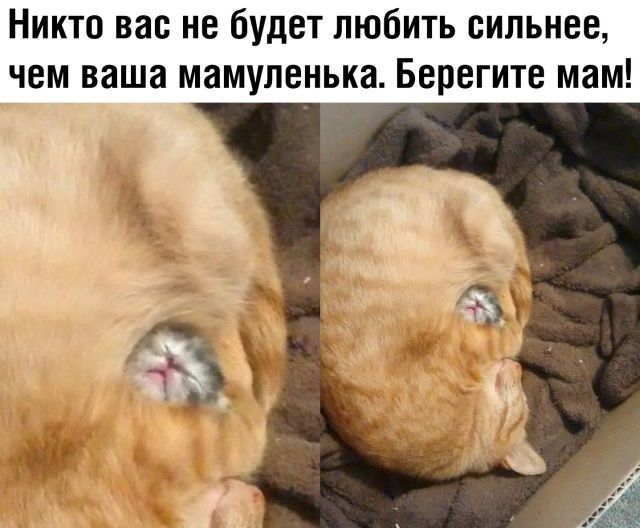 Никто вас не будет любить сильнее чем ваша мамупенька Берегите мам