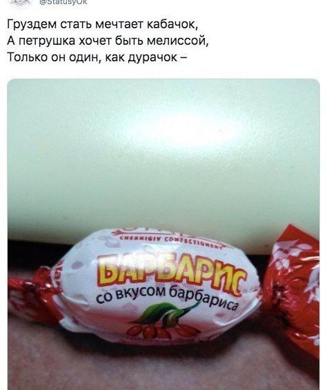 Груздем стать ме пает кабачок А Петрушка хочет быть мелиссой Только он один как дурачок